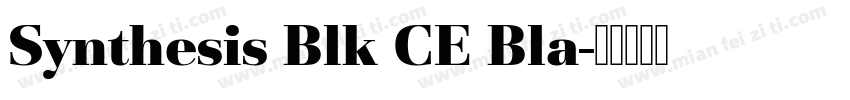 Synthesis Blk CE Bla字体转换